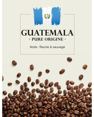 Café Arabica pur Guatemala - Grain